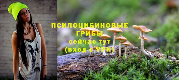 дмт Слюдянка