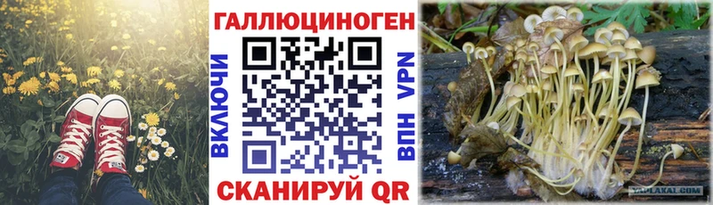 Псилоцибиновые грибы мицелий  Горняк 